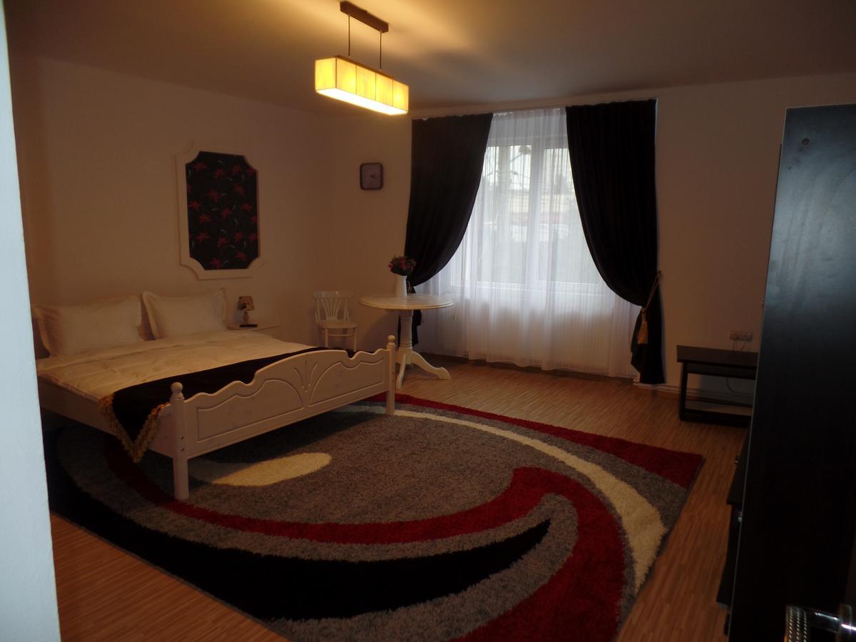 Hotel Apartament Bianca Sibiu Exteriér fotografie